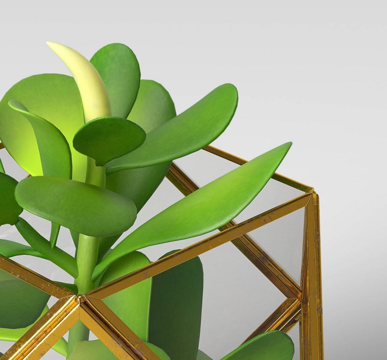 Case of 2 5" × 4" Artificial Succulent Plant with Brass Terrarium - Threshold™